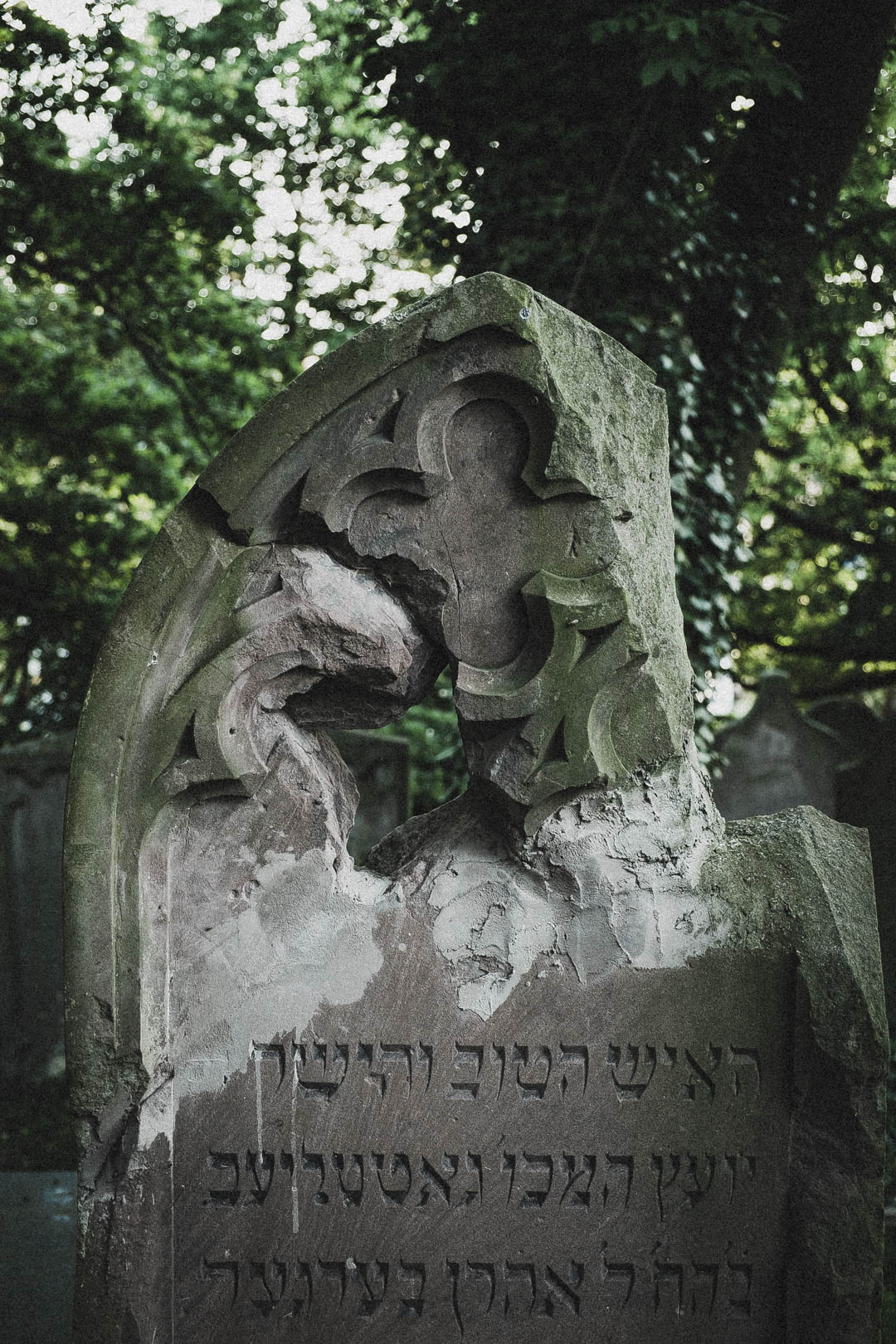 Jüdischer Friedhof Kassel-Bettenhausen